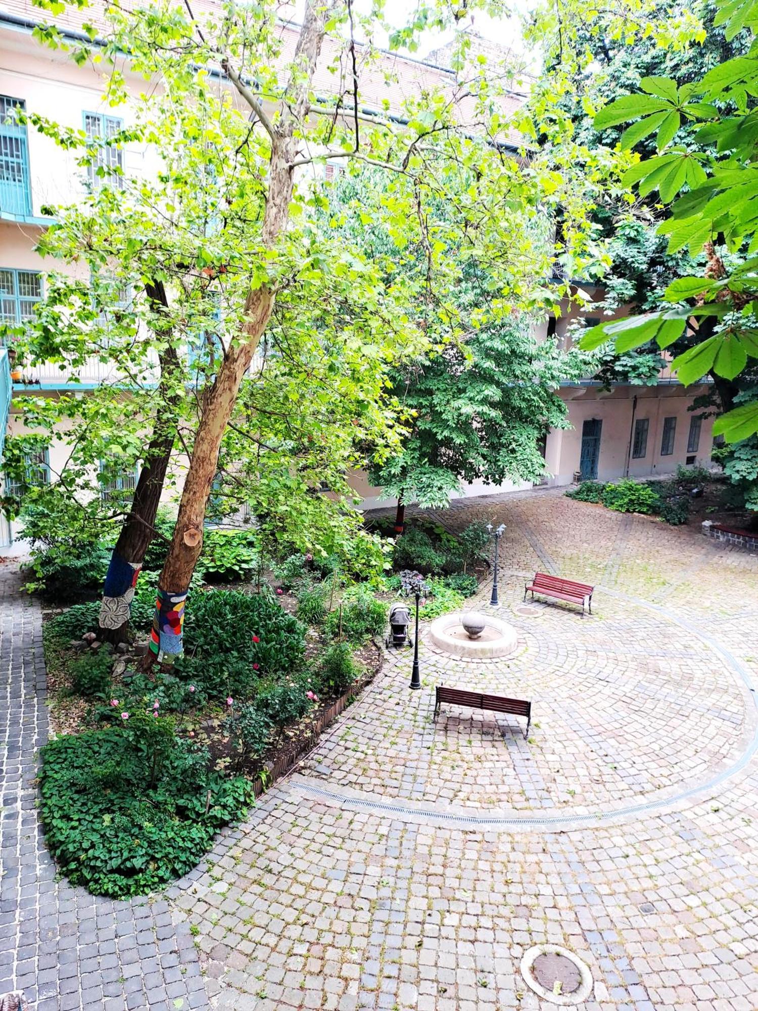 Cozy & Downtown Apartman *